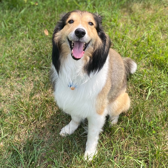 Meet your Posher, K! - Picture 1 of 1